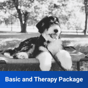 basic and therapy package