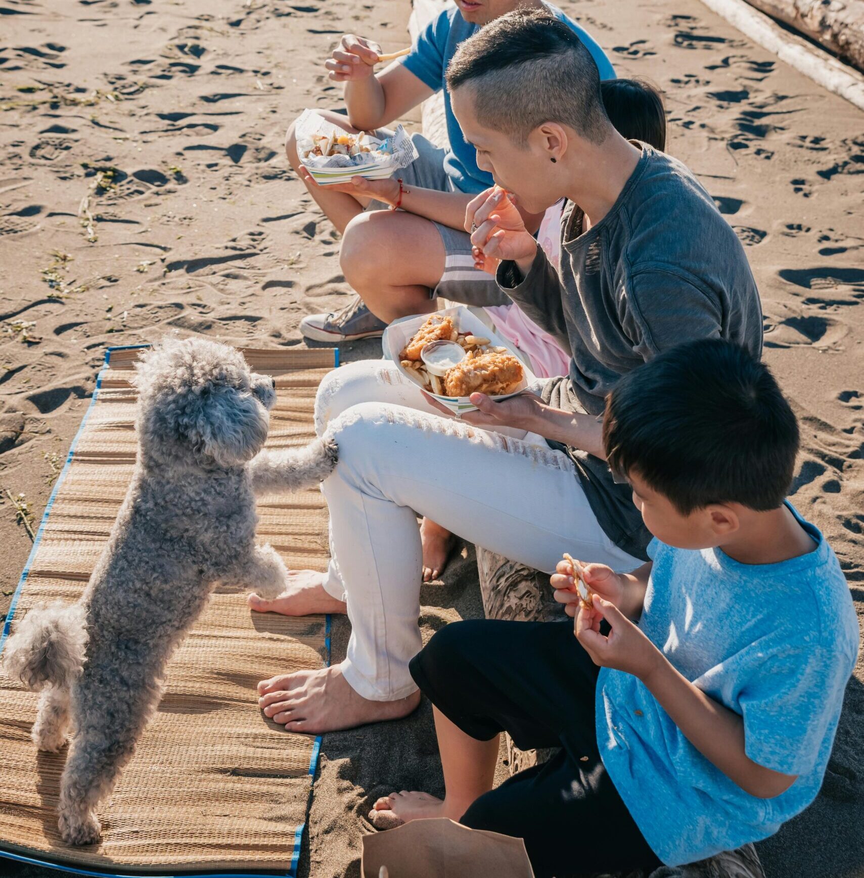 Summer Foods for Dogs