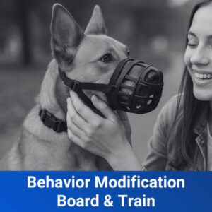 Behavior Modification Board and Train