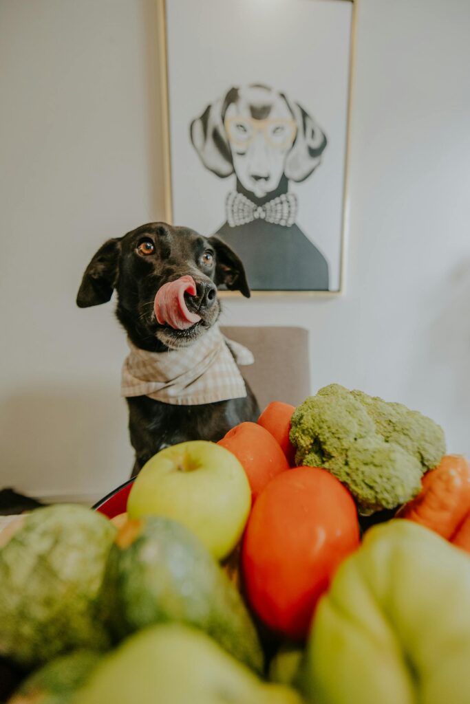 Thanksgiving Table Rules for Dogs: For a Happy Holiday