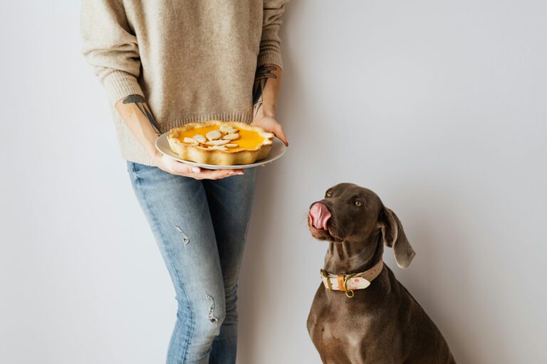 Thanksgiving Table Rules for Dogs: For a Happy Holiday