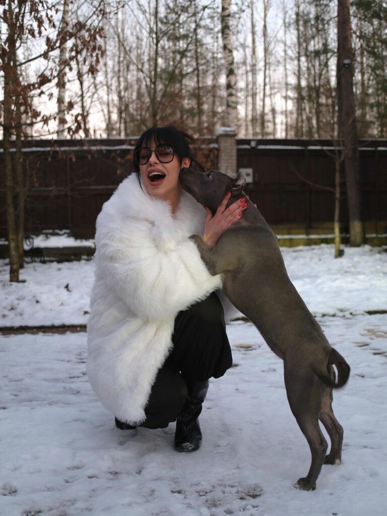 Holiday Hazards: Dangerous Foods, Decorations, and More
